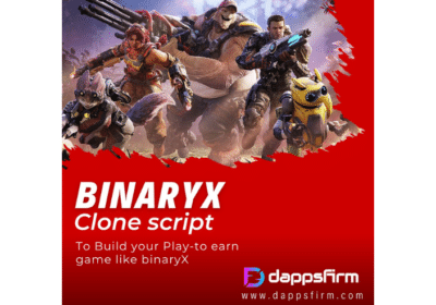 Enter The World of Play-to-Earn – Embrace BinaryX Clone Script Now | Dappsfirm
