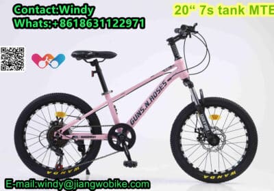 Buy 20 Inch 7s Tank MTB Mountain Bicycle in China | Jiangwo Trading