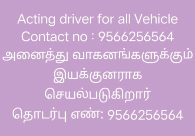 Acting-Driver-For-All-Vehicles-in-Perungalathur-Chennai
