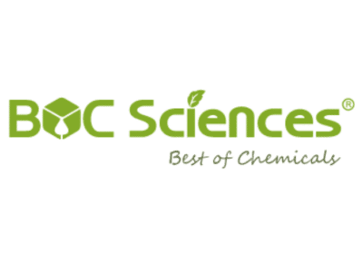 Additional Synthesis Services by BOC Sciences