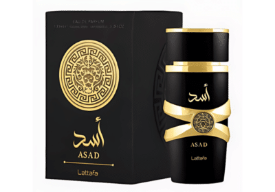 Buy Lattafa Asad Perfume Online | Allarabic.com