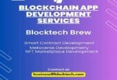 Blockchain Consulting Company in Dubai | Blocktech Brew