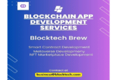 Blockchain Consulting Company in Dubai | Blocktech Brew