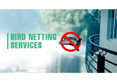 Buy-Anti-Bird-Net-in-Delhi-Bird-Net-Solution