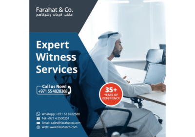 Expert-Witness-Services
