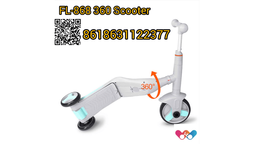 FL-868 360 Scooter Factory Supply in China