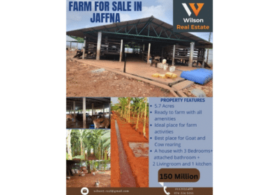 Farm For Sale Jaffana Sri Lanka