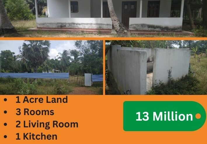 Land For Sale in Killinochi Sri Lanka | Wilson Real Estate