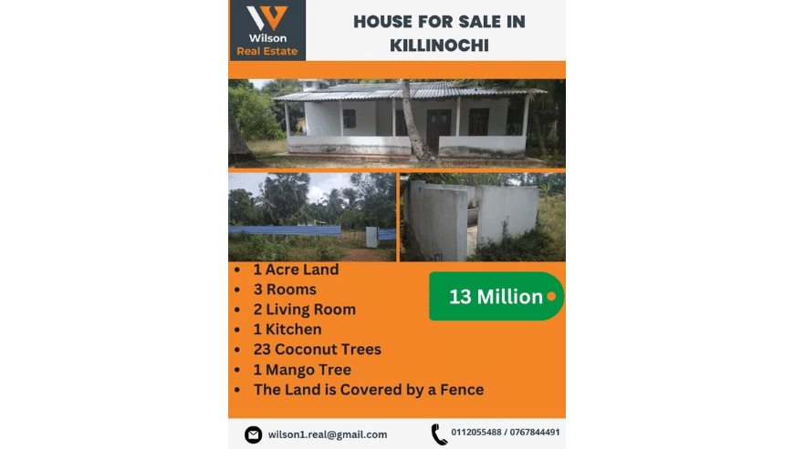 Land For Sale in Killinochi Sri Lanka | Wilson Real Estate