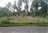 Land For Sale in Marawilla Sri Lanka