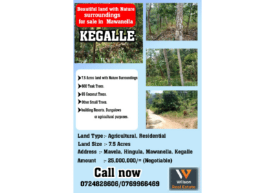 Land For Sale in Mawanella Kegalle Sri Lanka | Wilson Real Estate