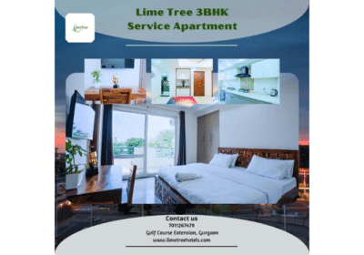 Service Apartments in Gurgaon | Lime Tree Hotels