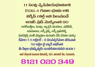 Need Real Estate Agents / Channel Partners For Sale of Agarwood Plants Plots in Guntur | Mandira Developers