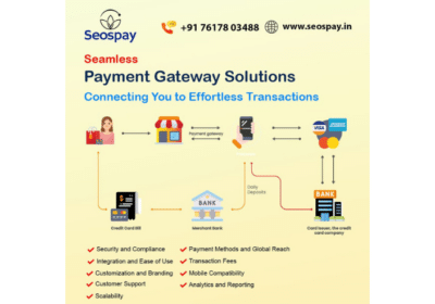 Payment Gateway and API | Seospay