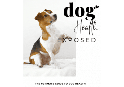 Perfect Guide For Imperfect Dog Owners – The ULTIMATE Guide to DOG Health