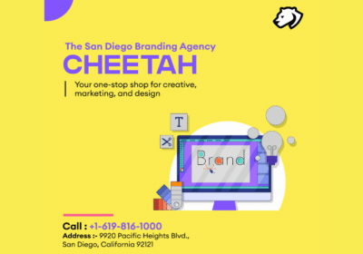 Transform Your Brand with San Diego Branding Agency | Cheetah Agency