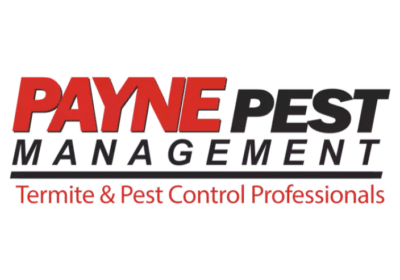 Termite-Control-San-Diego-Orange-County-Los-Angeles-Payne-Pest-Management