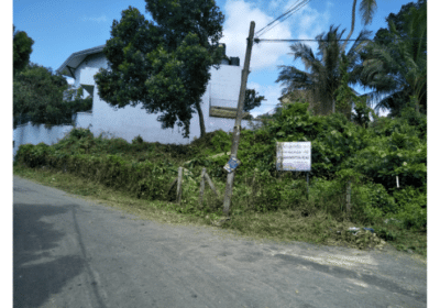 Valuable Land For Sale in Wattala Sri Lanka