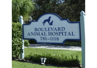 Veterinary Clinic in Stuart Florida | Boulevard Animal Hospital