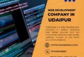 Web Development Company in Udaipur | Midinnings