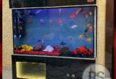 Glass Aquarium in Kolkata | Aqua World