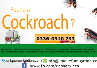 cockroach-control