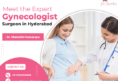 Best Lady Gynecologist Offering Comprehensive Women’s Health Care | Dr Shaivalini Kamarapu