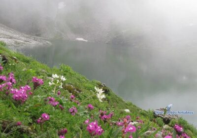 Valley of Flowers India National Park Trekking and Tourism Guide 2023 | Blue Poppy Holidays