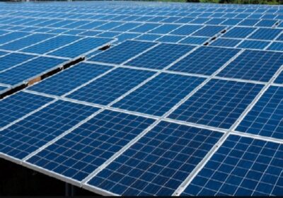 Buy Solar Panel at Best Prices From Best Solar Panels Distributor in India | OneKlick