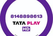 Bulk Tata Play DTH Corporate Connection in Krishnagiri | Manimegalai Enterprises