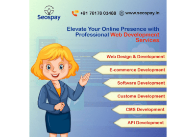 Software and Website Development Company in Noida | Seospay