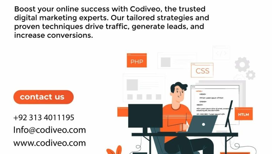 Professional Web Development Company in Lahore | Codiveo
