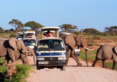 7 Days Private Family Safari in Samburu and Masai Mara | Funday Tours and Travel