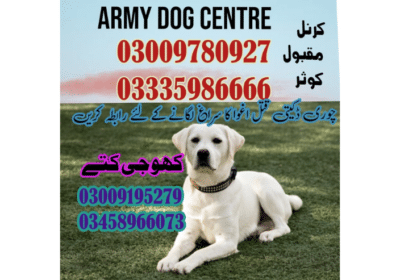 Army-Dog-Center-Attock-
