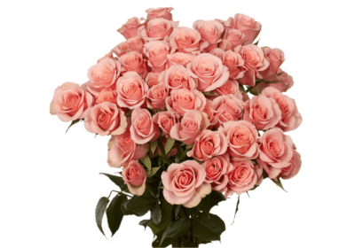 Best-Bulk-Wedding-Flowers-in-USA-Global-Rose