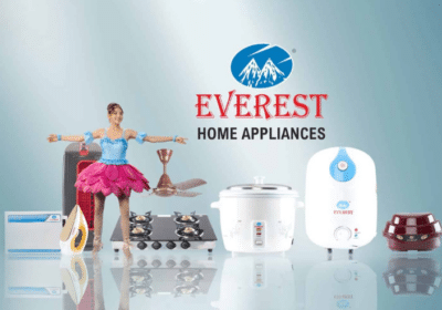 Best-Online-Shopping-Site-For-Home-Appliances-Everest-Stabilizer