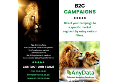 Business To Consumer Marketing Campaigns | AnyData