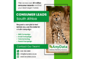 Consumer Leads South Africa | AnyData
