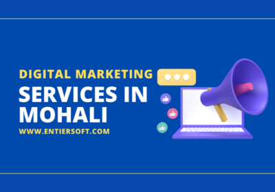 Digital Marketing Agency in Mohali – Boost Your Online Presence | Entiersoft