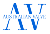 Dual Plate Check Valve Supplier in Australia | Australian Valve