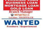 Sales Manager Jobs in Thudiyalur Coimbatore | HDB Financial Services