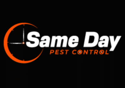 Hire Professional Silverfish Pest Control Service in Brisbane | Same Day Pest Control