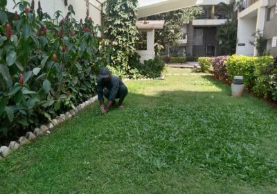 Landscaping-Services-in-Hyderabad-Paradigm-Services