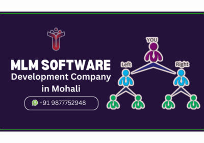 MLM Software Development Company in Mohali | Touchwood Technologies