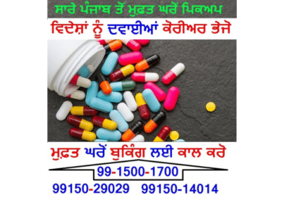 Medicine-Courier-Service-Punjab-to-USA-Canada-Australia-UK-Europe