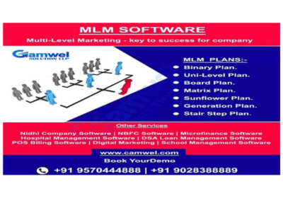 Get All Types of MLM Plan Software Company in Patna | Camwel Solution
