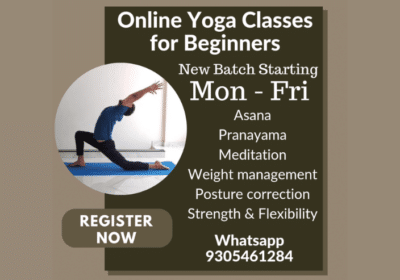 Online Yoga Classes | Yogvinyas