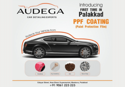 Paint Protection Film For Car | Audega
