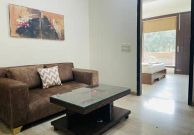 1 BHK Apartment For Rent in BluO Studio DLF Golf Course Road Gurgaon