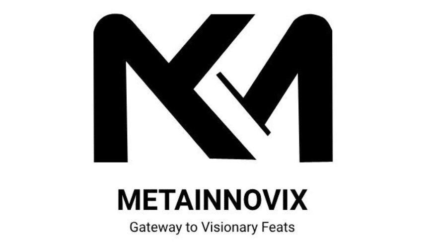 Professional IT Support and Consultancy | Metainnovix.com